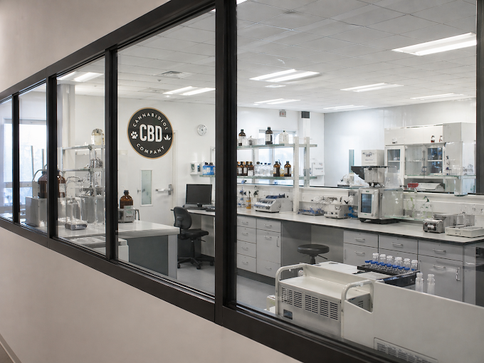 Produktionsfläche von Cannabidiol Company auf dem Utrechtse Heuvelrug