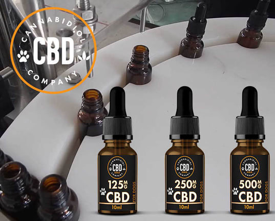 CBD oil for animals during filling at Cannabidiol Company
